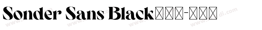 Sonder Sans Black免费下字体转换